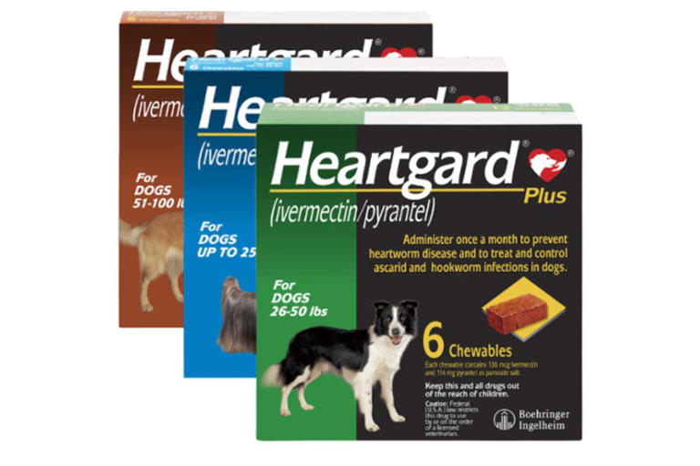 Is Heartgard Safe for Dogs?