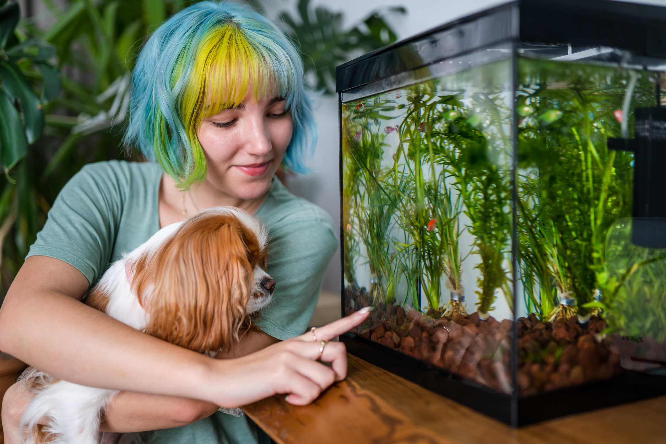<a>Read More</a> : 13 Best Pet Fish: Fin-Tastic Friends for Your New Aquarium