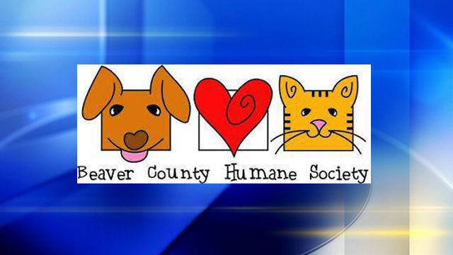 Beaver County Humane Society hosting canine vaccine clinic