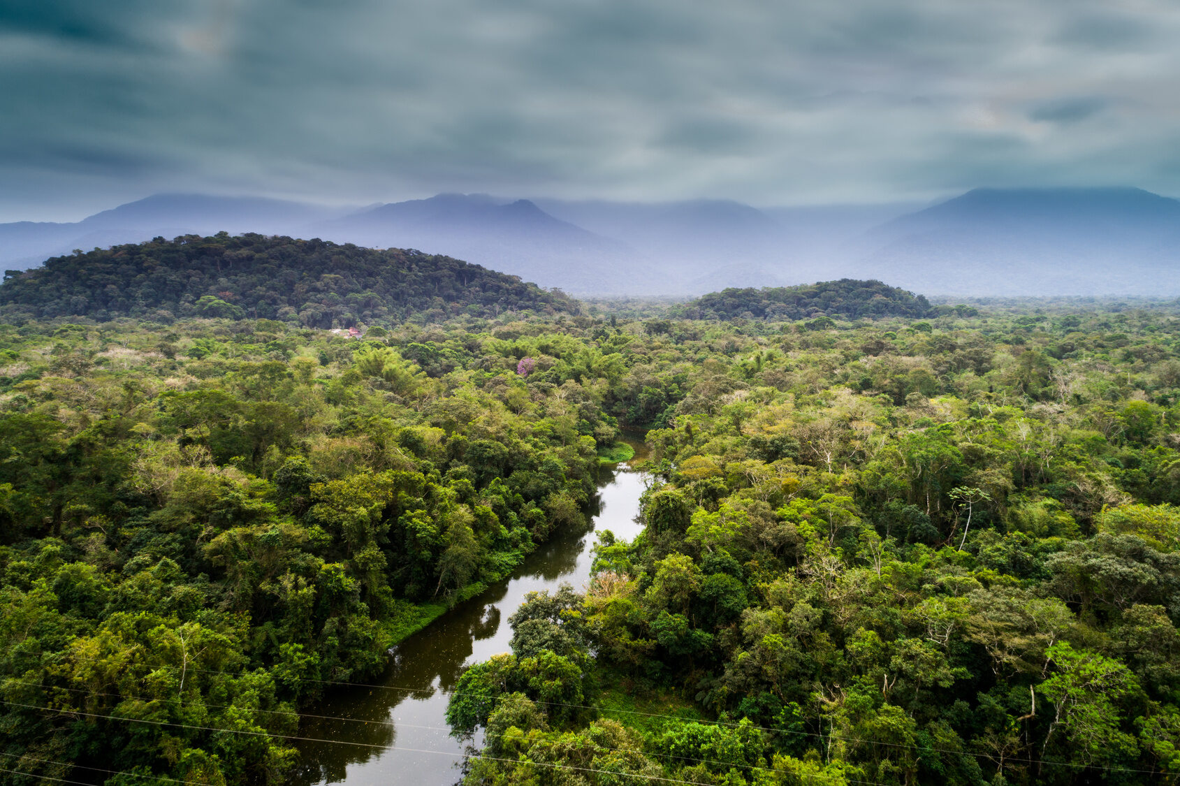 Джунгли бразилии. Сельва Бразилии. Бразилия тропические леса Сельва. Дождевые леса Амазонии. Национальный парк Бразилии Амазония.