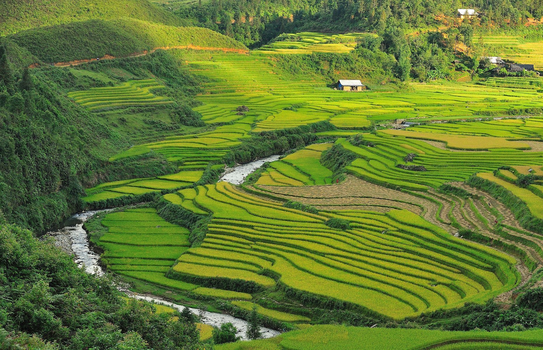 Nestled in the mountains of northwestern Vietnam, <a href="https://vietnam.travel/places-to-go/northern-vietnam/sapa" rel="noreferrer noopener">Sapa</a> is an extraordinary destination sure to charm with its astonishingly beautiful landscapes. Particularly impressive in September and October, verdant rice paddies stretch as far as the eye can see. Hiking enthusiasts can also explore the peaks of the Hoang Lien Son mountain range, including the country’s highest, <a href="https://vietnam.travel/things-to-do/why-fansipan-must-do-sapa" rel="noreferrer noopener">Mount Fansipan</a>.