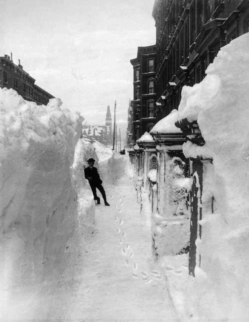 <p>In the late 1800s, cities like New York and Chicago had to deal with heavy snowfall without the modern snow removal equipment we have today. At the time, cities used a combination of manual labor and horse-drawn equipment to clear the streets. Teams of men with shovels would work to clear the snow from sidewalks and streets, while horse-drawn plows and carts were used to remove snow from the main thoroughfares. However, these methods were often slow and inefficient, and snowstorms could quickly paralyze cities. It wasn't until the early 1900s that cities began to adopt early forms of the snow plow, which helped to make snow removal faster and more effective.</p>