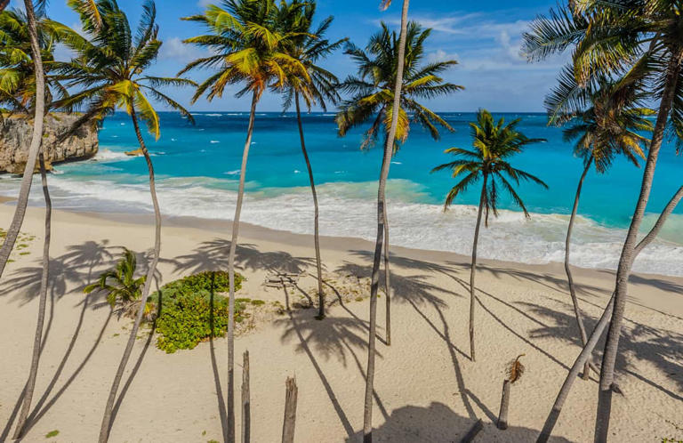 Planning a trip to Barbados? Check out these insider tips on what to do in Barbados for all the family from kids, to teens, to couples and solo travelers!