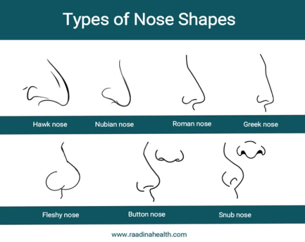 nose shape chart