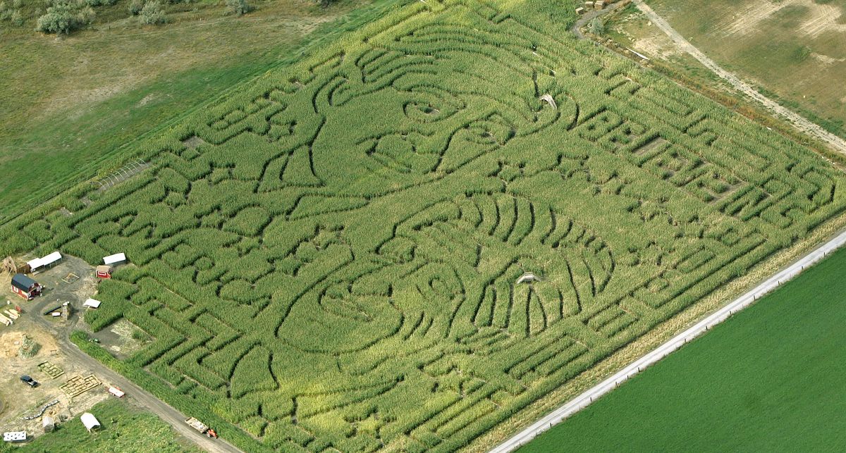 The Most Mesmerizing Corn Maze Designs Of All Time