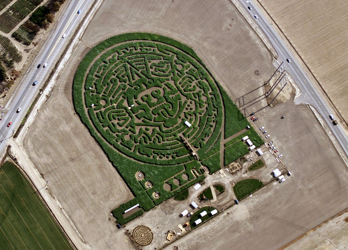 The Most Mesmerizing Corn Maze Designs Of All Time