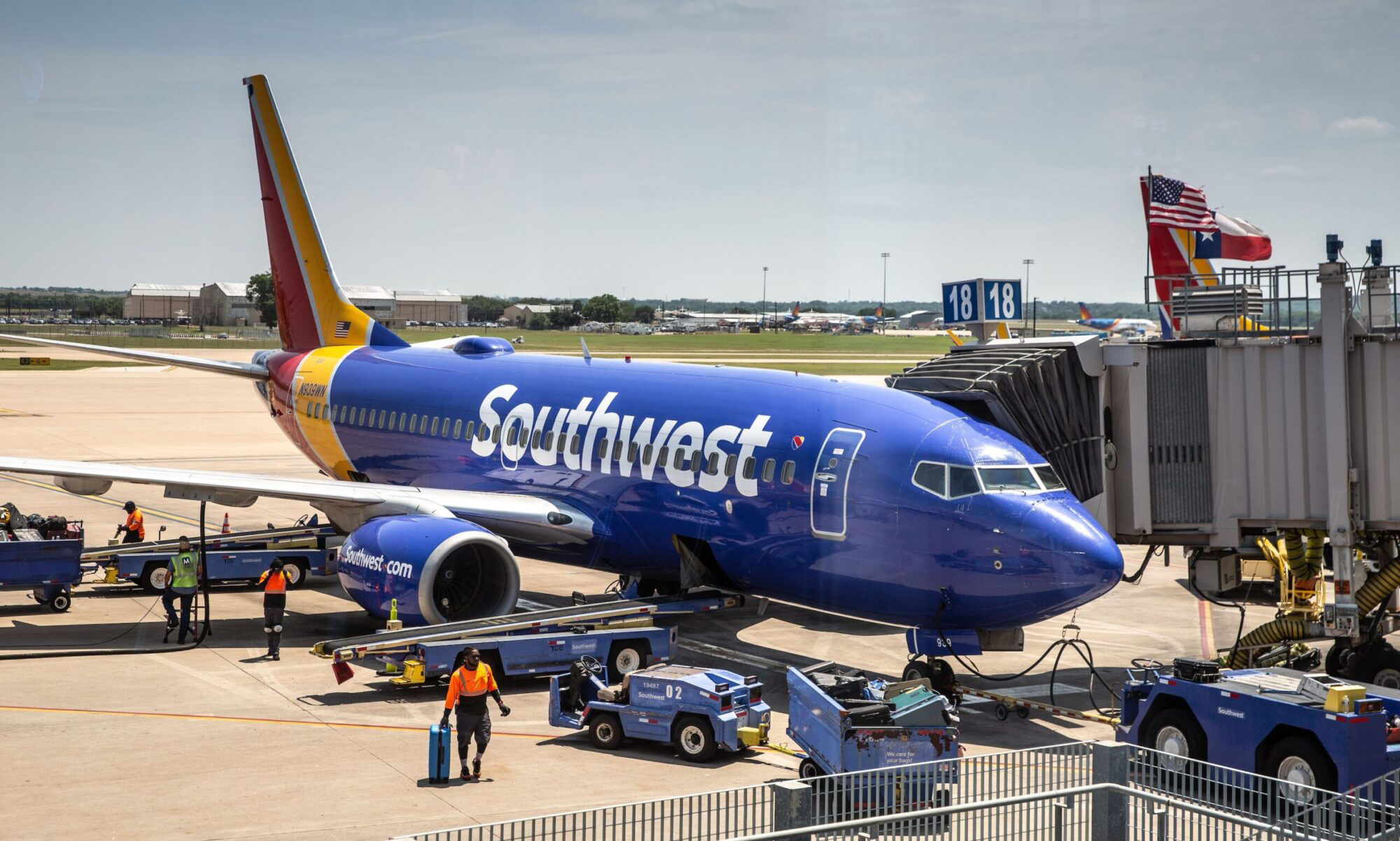 Southwest passenger allegedly escorted off plane for petting new puppy