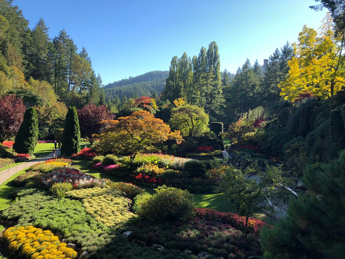<p>One of the most popular things to do in Victoria, <a href="https://www.butchartgardens.com/" rel="noopener noreferrer">The Butchart Gardens</a> attracts more than a million visitors a year—and with good reason. Here, you'll find 55 acres of manicured lawns and intricate floral displays, and new splendours with each season thanks to the fact that it's open year-round. While it’s unlikely you’ll be able to pick a favourite from the 900 varieties of plant life on display, you’re sure to awaken the senses while strolling the impressive gardens which highlight landscaping techniques from around the world.</p> <p>Don't miss our countdown of Canada's most beautiful <a href="https://www.readersdigest.ca/travel/canada/botanical-gardens-canada/">botanical gardens</a>.</p>