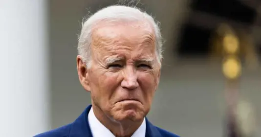 Jim Biden, 74, allegedly used a $125,000 business loan to buy NFL season tickets and other personal expenses.MEGA