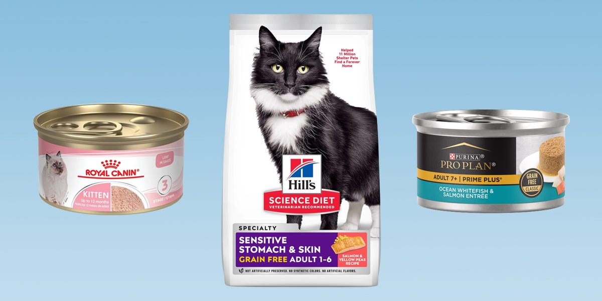 The Best Cat Food For A Sensitive Stomach Of 2024