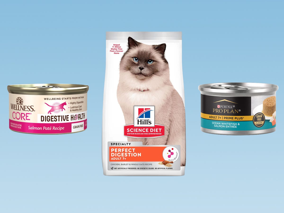 The best cat food for a sensitive stomach of 2024