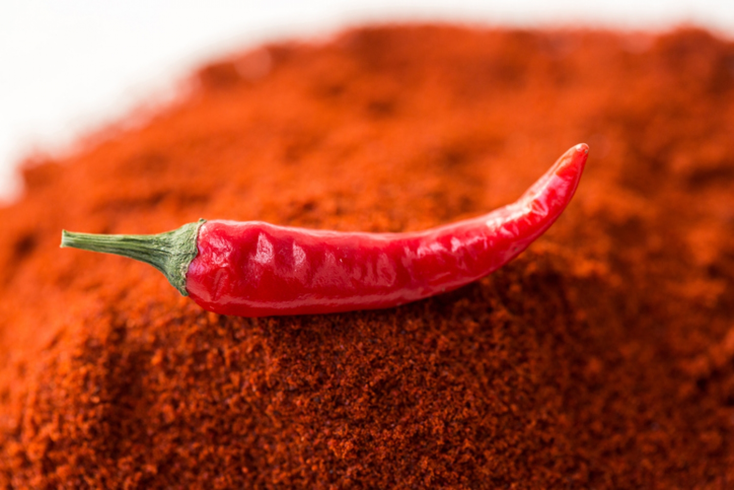 Red chili перевод. Специя Чили перец Шрирача. Красный острый перец Чили Джоджо. Перец Чили не краснеет. Рыдаю от острого перца карри.