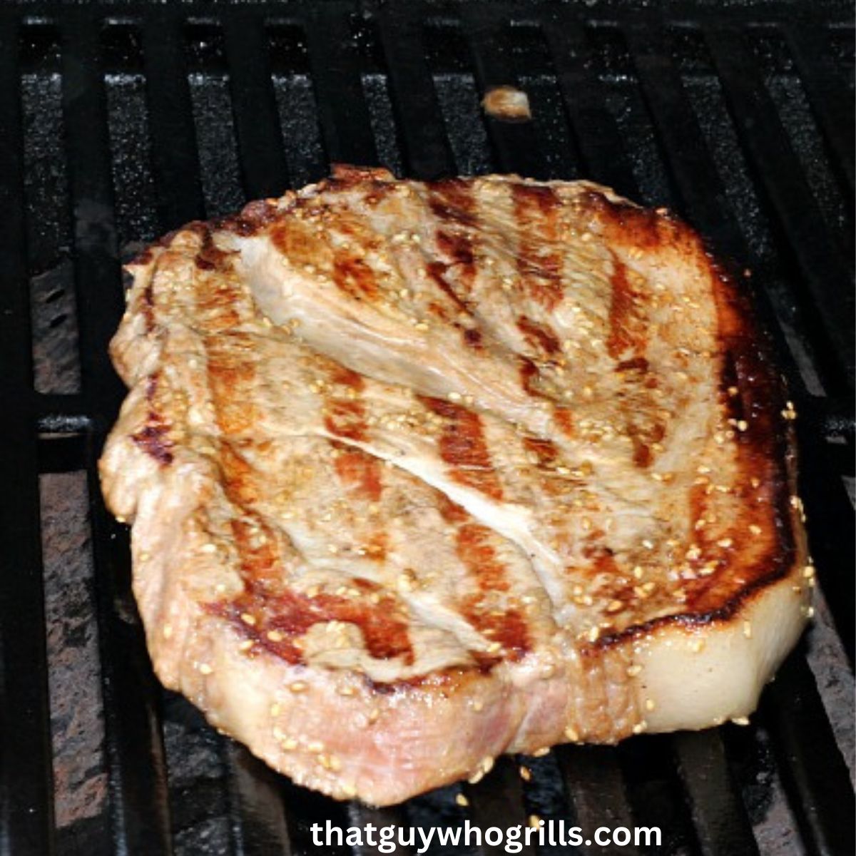 How To Grill Pork Steaks! Easy Dinner!