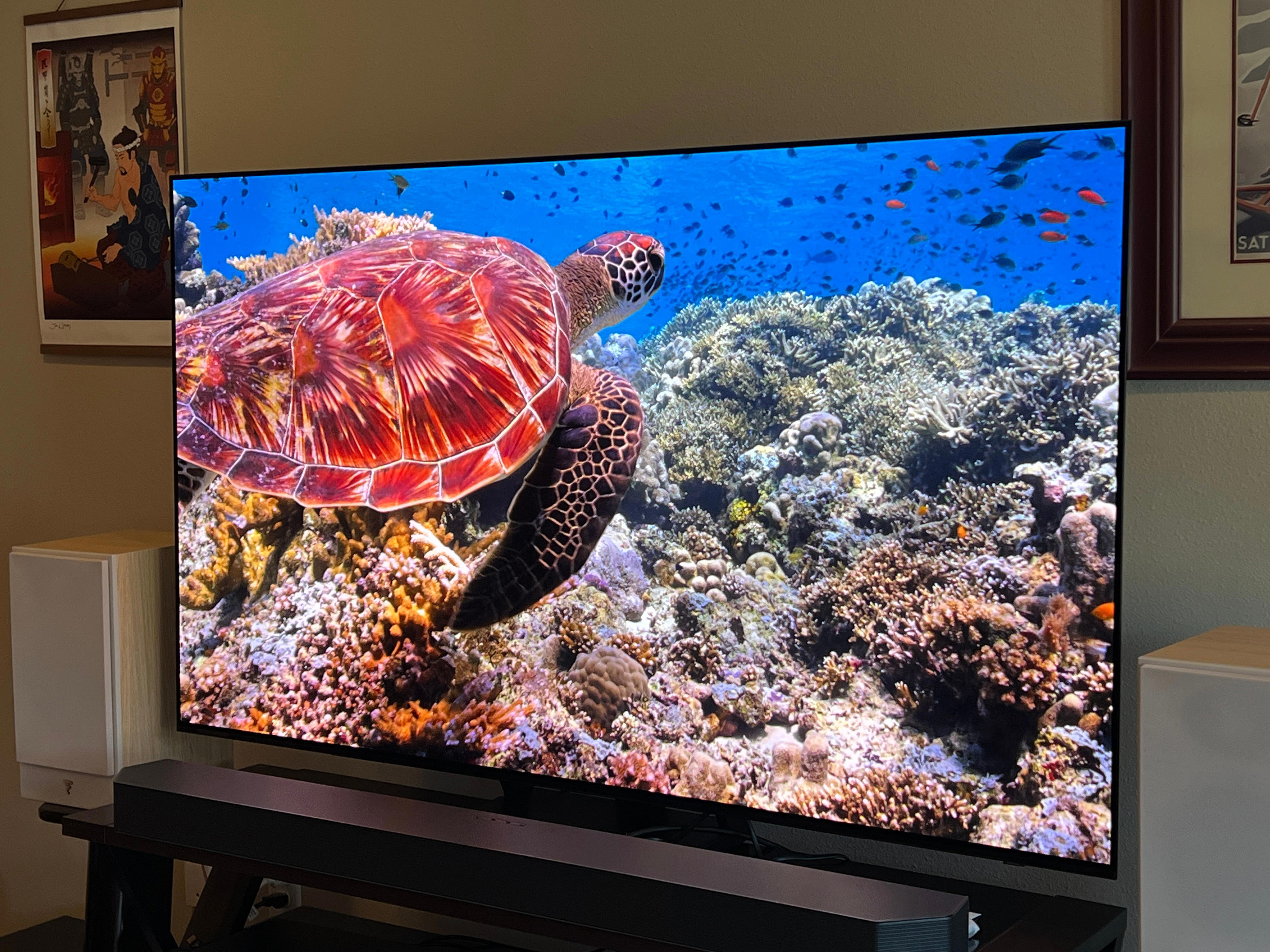 The Best OLED TVs Of 2024