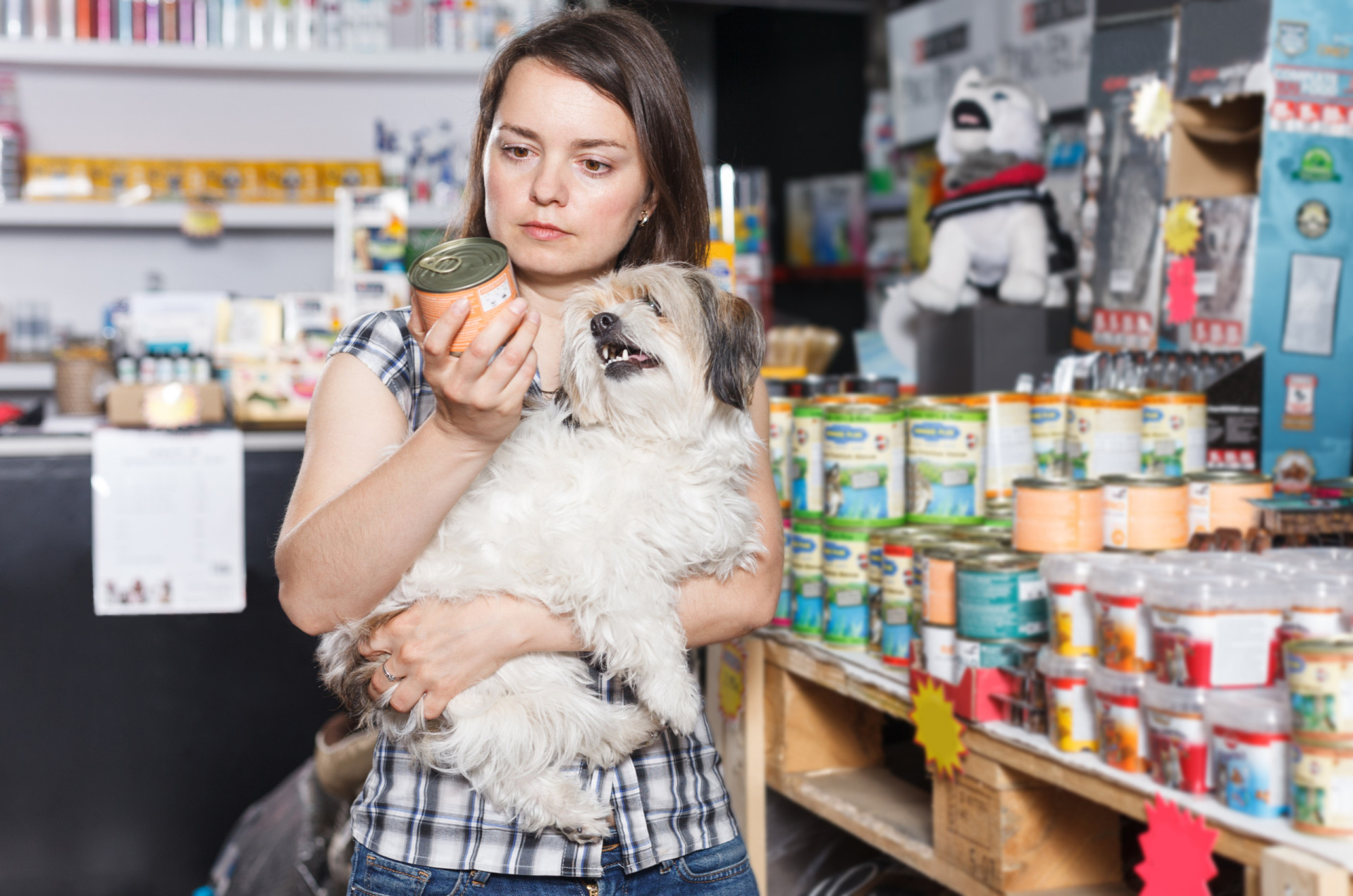 <p>This goes for any other pet. Of course, you had to go to the pet store to get some food.</p><p><a href="https://www.msn.com/en-us/community/channel/vid-7xx8mnucu55yw63we9va2gwr7uihbxwc68fxqp25x6tg4ftibpra?cvid=94631541bc0f4f89bfd59158d696ad7e">Follow us and access great exclusive content every day</a></p>