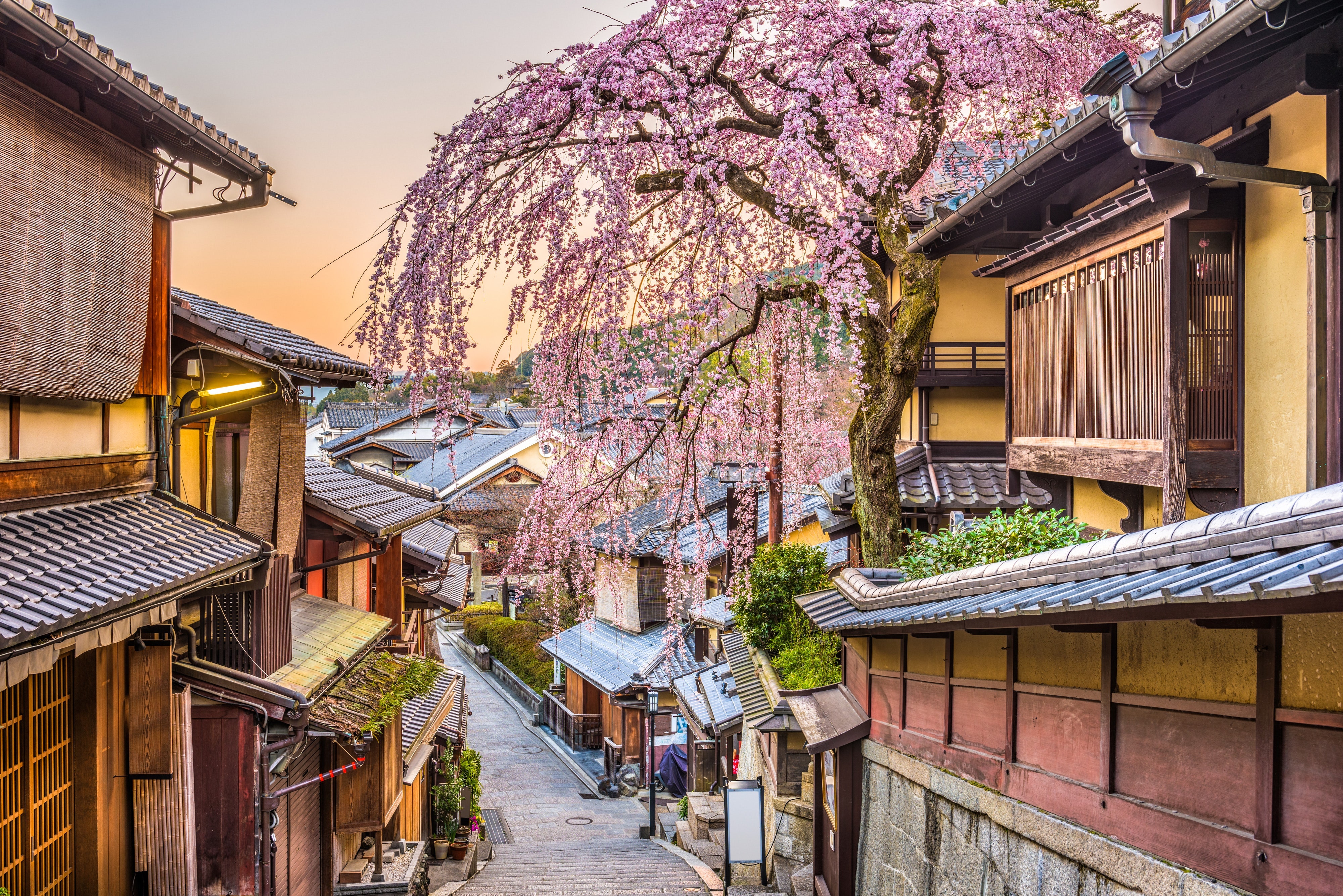 The Higashiyama-ku ward is one of the best places to experience <a href="https://www.cntraveler.com/story/kyoto-japan-masataka-hosoo-locals-guide?mbid=synd_msn_rss&utm_source=msn&utm_medium=syndication">traditional Kyoto</a>, from the Kiyomizudera and Yasaka Shrines to the Gion geisha district. Thank goodness the narrow lanes throughout the district are pedestrian-only, because you don’t want to miss any of the ancient architectural details, merchants selling pottery and sweets, or hidden scatterings of pink-and-white <a href="https://www.cntraveler.com/gallery/best-places-to-see-cherry-blossoms-in-japan?mbid=synd_msn_rss&utm_source=msn&utm_medium=syndication">cherry blossoms</a>.<p>Sign up to receive the latest news, expert tips, and inspiration on all things travel</p><a href="https://www.cntraveler.com/newsletter/the-daily?sourceCode=msnsend">Inspire Me</a>