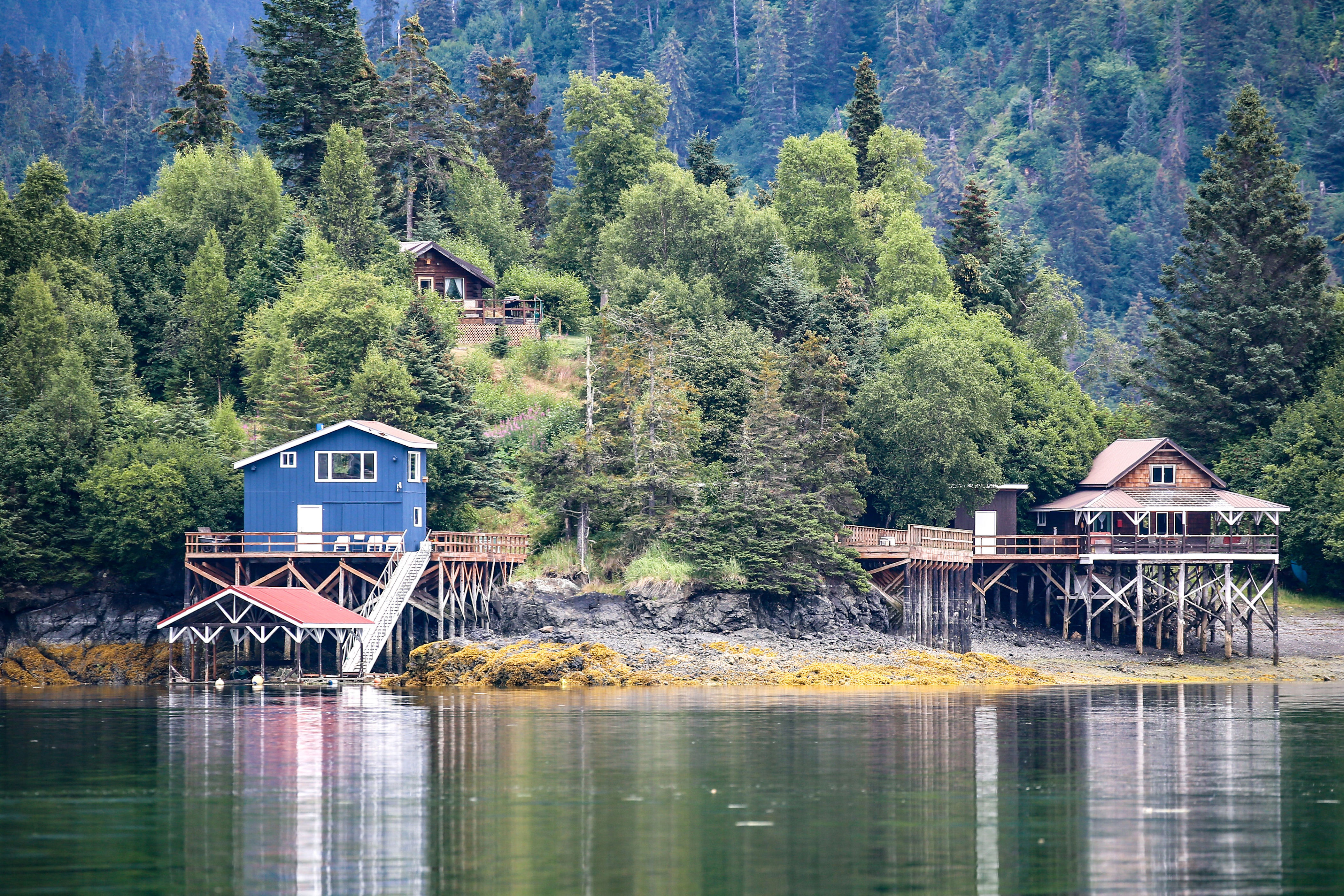 Situated in Alaska’s spectacular Kachemak Bay State Park, Halibut Cove is like the poster child for peaceful, car-free towns. There are no roads here, so people get around on foot or by ATV or seaplane. And aside from several rustic, timber-framed lodges, most of the buildings sit on stilts or float on docks. What’s <em>not</em> to love about a floating amphitheater, floating espresso bar, and floating post office?<p>Sign up to receive the latest news, expert tips, and inspiration on all things travel</p><a href="https://www.cntraveler.com/newsletter/the-daily?sourceCode=msnsend">Inspire Me</a>