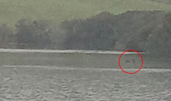 Shocking footage captures 'clearest evidence' of legendary Loch Ness ...