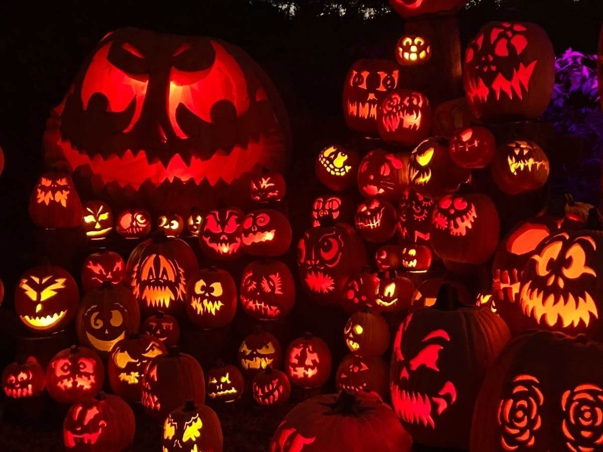 Monrovia Halloween Events 2023 TrickOrTreats & Pumpkin Patches