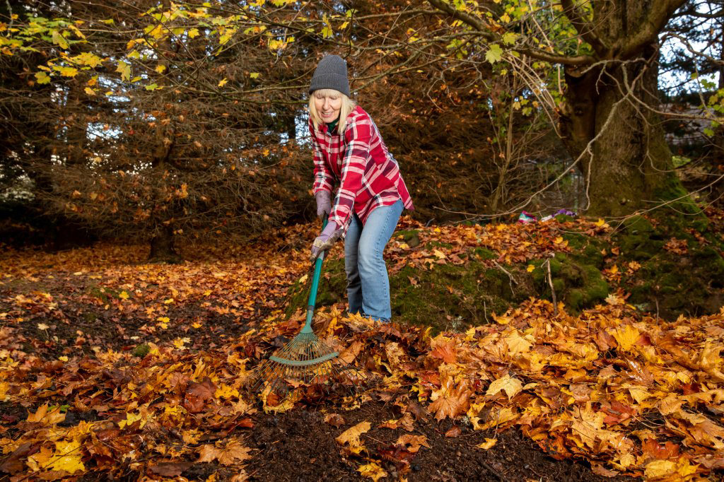 Say goodbye to raking leaves. Try one of these alternatives for a ...