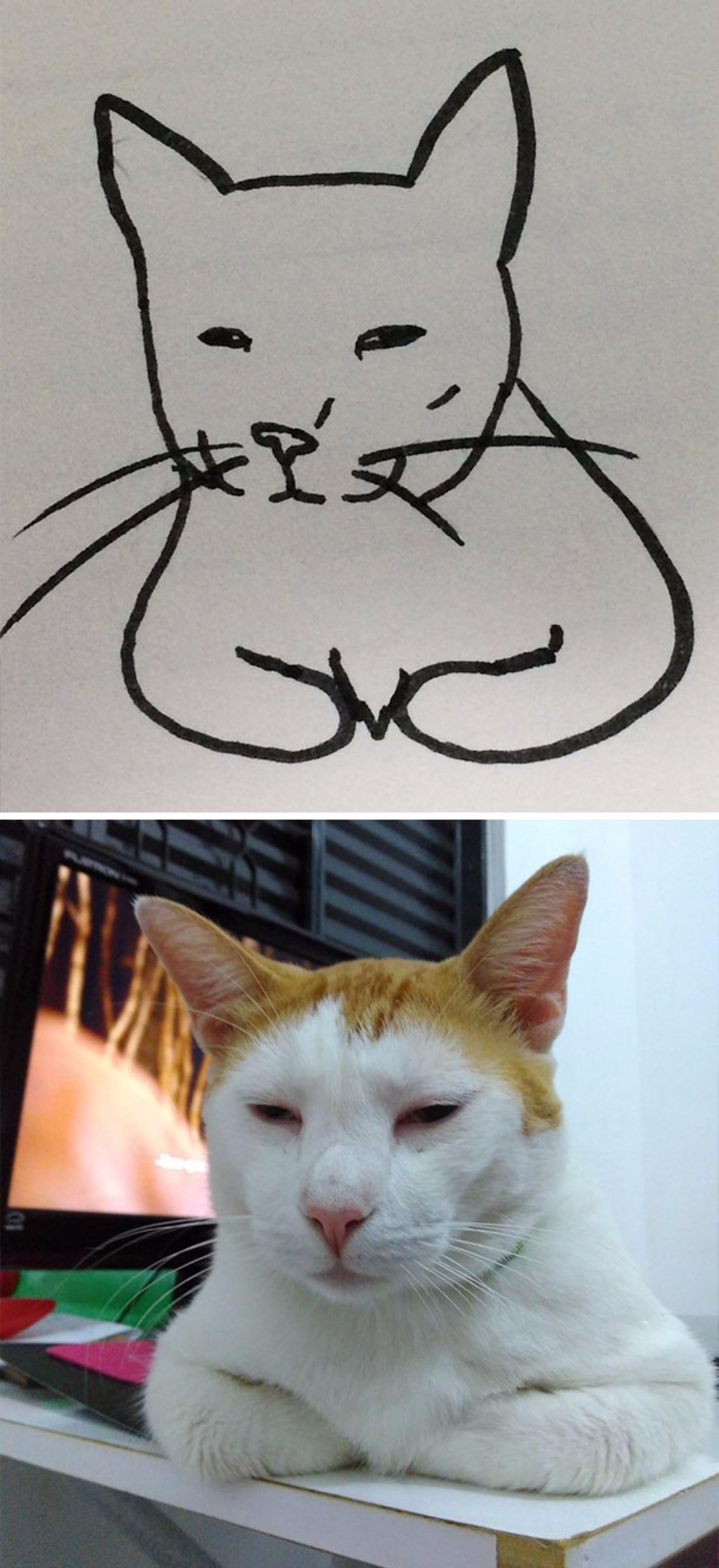 Коты легких делают. Котик рисунок. Нарисовать котика. Простой кот. Рисованные коты.