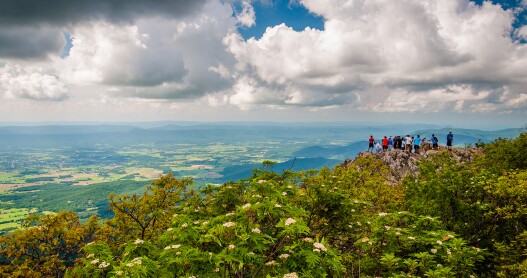 <p>The lilting accents, the stiff drinks, the lingering meals—nearly everything about the American South asks us to slow down. The key to enjoying the region is not to rush. That goes for the Blue Ridge Parkway, too. With a speed limit that rarely exceeds 45 mph, the meandering, artfully laid-out, two-lane highway politely demands to be savored. It’s no surprise that people travel from around the world to experience one of North America’s most iconic routes. </p> <p>Although it would only take about nine hours to drive the road straight through from Charlottesville, Virginia, to Asheville, North Carolina, give yourself five days to mosey along the 384 miles between these two cities, the most popular segment of the 469-mile-long Parkway. The drive’s scenery justifies its reputation as one of the great roads, following the rocky ridges, green plateaus, and soft hilly meadows of the Appalachian Mountains all the way from Shenandoah National Park down the Blue Ridge chain to Great Smoky Mountains National Park. But the road has more appeal than just the dramatic vistas—the excuses to pause are as plentiful as the panoramas. </p>