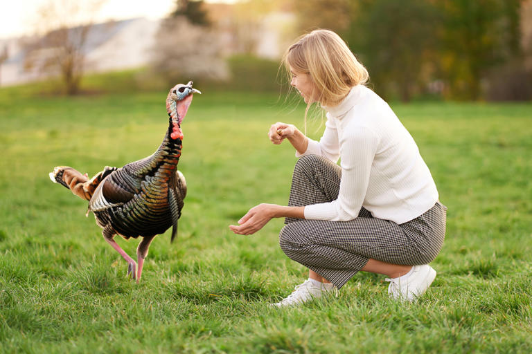 Portrait of young woman in nature with turkey
