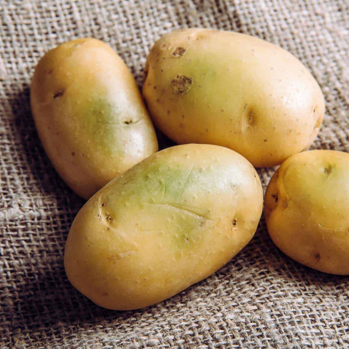 Can You Eat Sprouted Potatoes? Everything You Need To Know