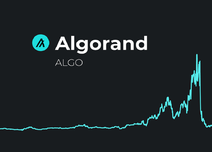 Algorand Price Prediction 2024-2030: Is resurgence possible?
