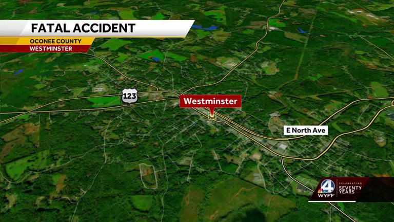 Coroner Identifies Woman Killed In Upstate Car Accident