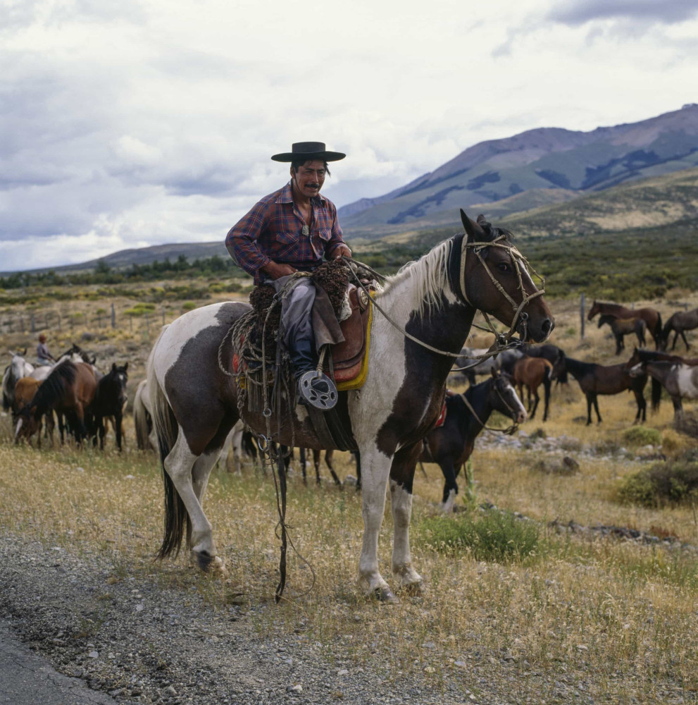 Being a cowboy in Patagonia is actually still a job, except they are called gauchos. They are highly-skilled horsemen who herd the cattle and are knowledgeable about the harsh landscape.<p>You may also like:<a href="https://www.starsinsider.com/n/281966?utm_source=msn.com&utm_medium=display&utm_campaign=referral_description&utm_content=463556v2en-us"> A look at China’s most impressive knock-off wonders</a></p>