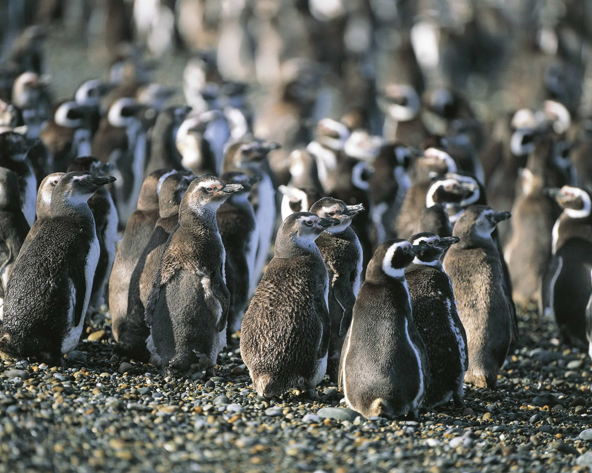 Patagonia: The most beautiful place on earth