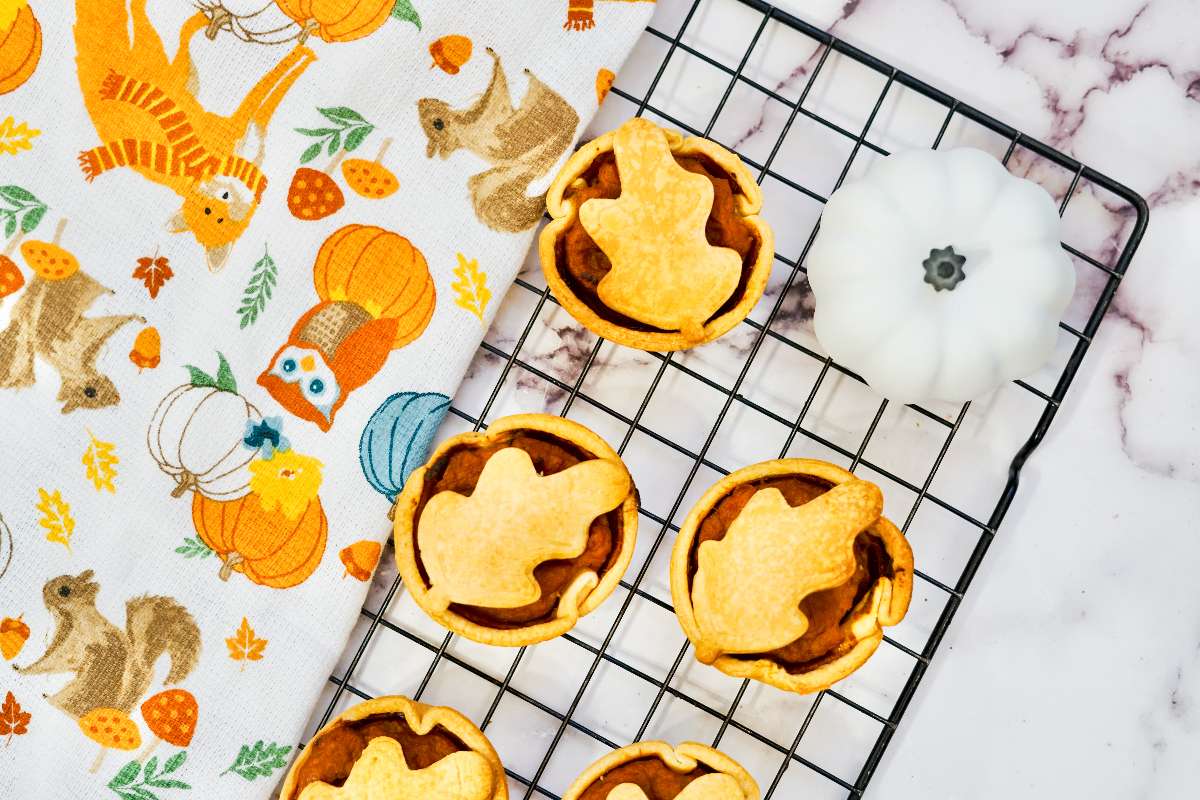 How To Make Mini Pumpkin Pies   AA1j0yZQ.img