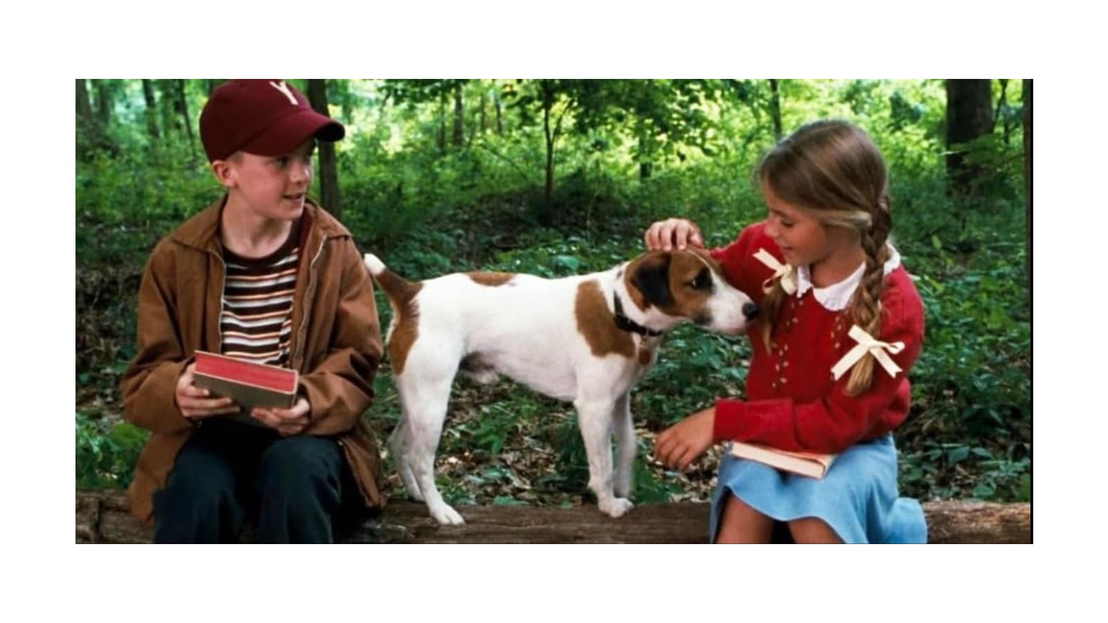 <p>The first ballot Hall of Fame pick for dog movies to avoid is <em>My Dog Skip. </em>Not only is the plot meant to inflict maximum pain on dog owners, but seeing a pre-pubescent Frankie Muniz will make you feel old. But mostly, the plot is a real downer.</p>