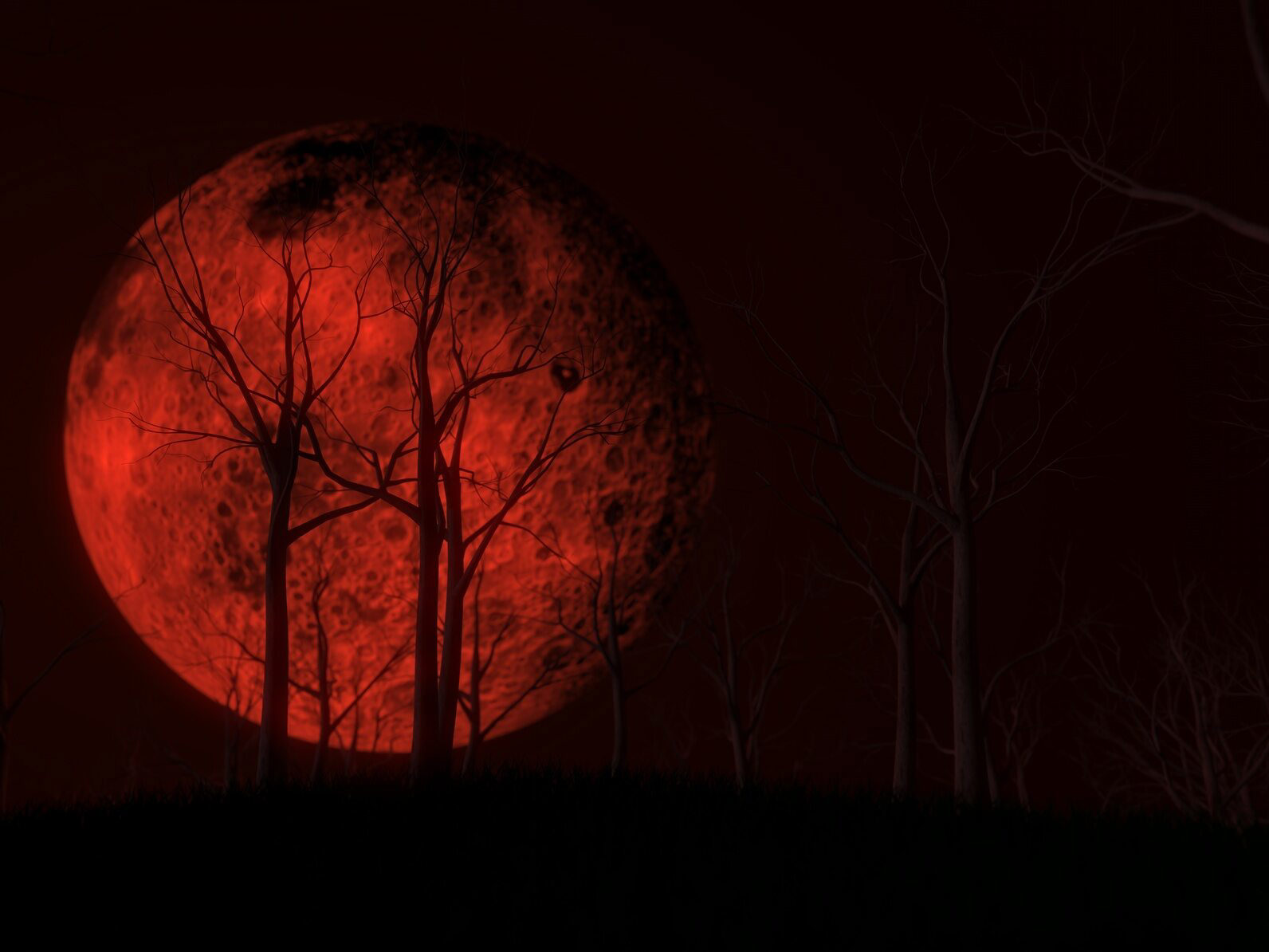 Pełnia Krwawego Księżyca przynosi niezwykłe zjawisko. Jak obserwować ...