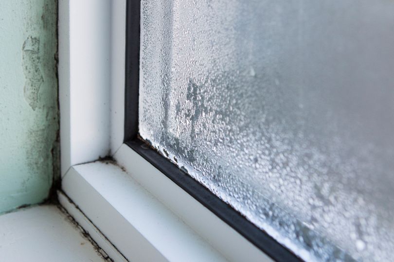 Home Improvement Expert Explains How To Stop Condensation On Windows