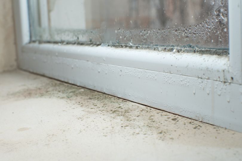 How To Stop Condensation On Windows According To Home Improvement Expert