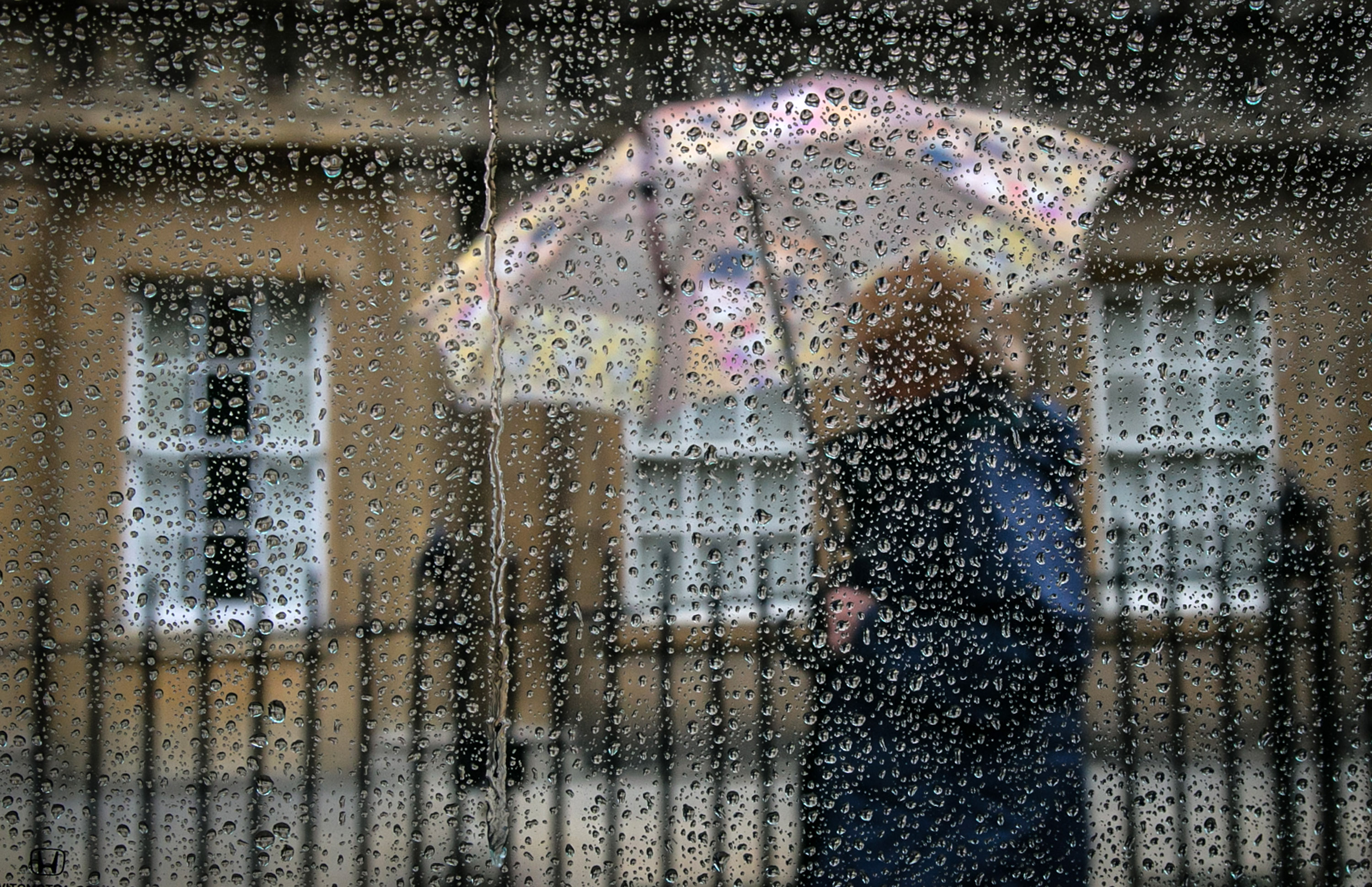 Rain hits. Дождливый Петербург. Дождливый день сентября фото. Дождь в Петербурге. Дождик в сентябре в Петербурге.