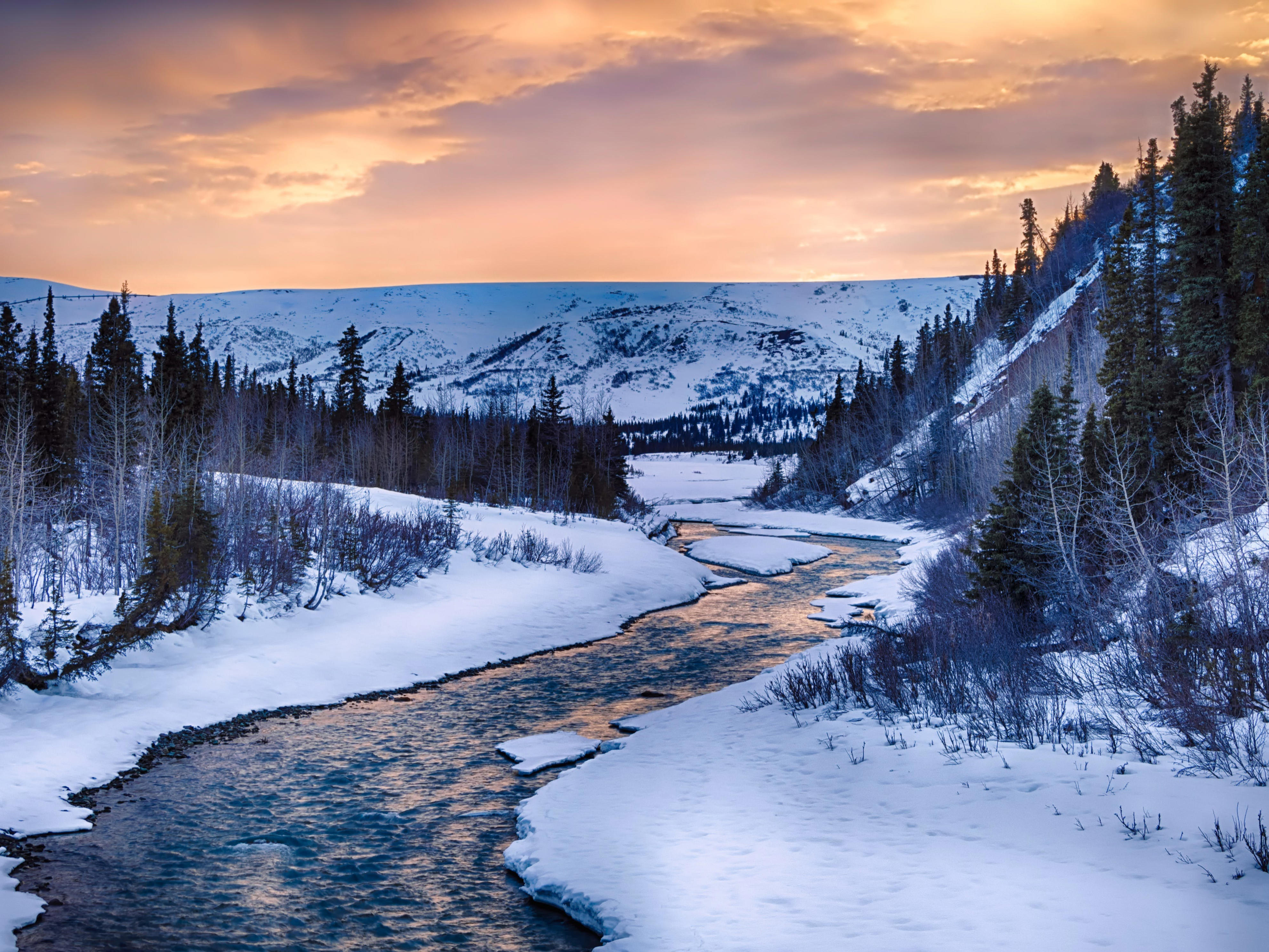 The coldest temperature recorded in every state