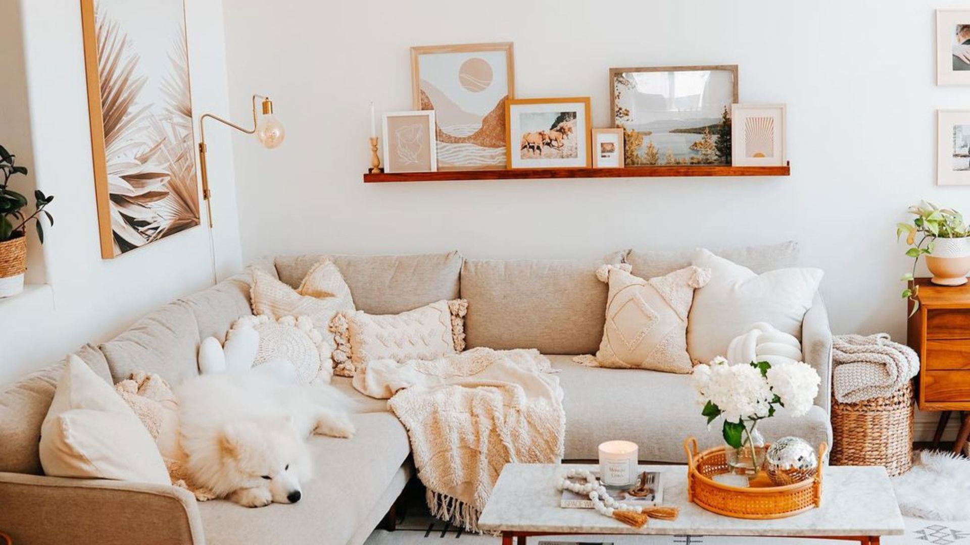 How do I decorate a small space on a budget? Design experts explain