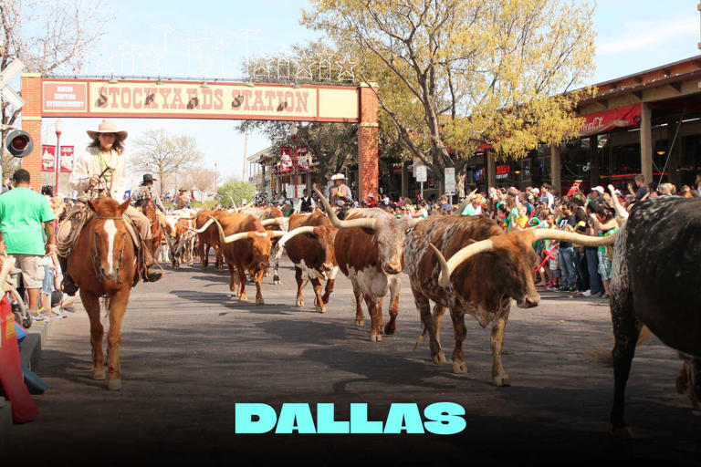 The 16 All-Time Greatest Things to Do in Dallas