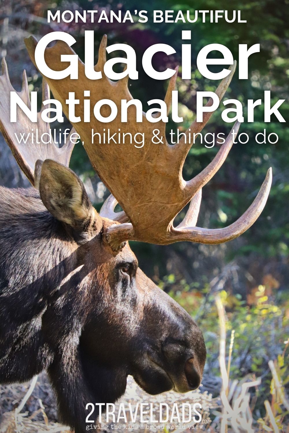 Glacier National Park Things to - AA1j7FAU.img