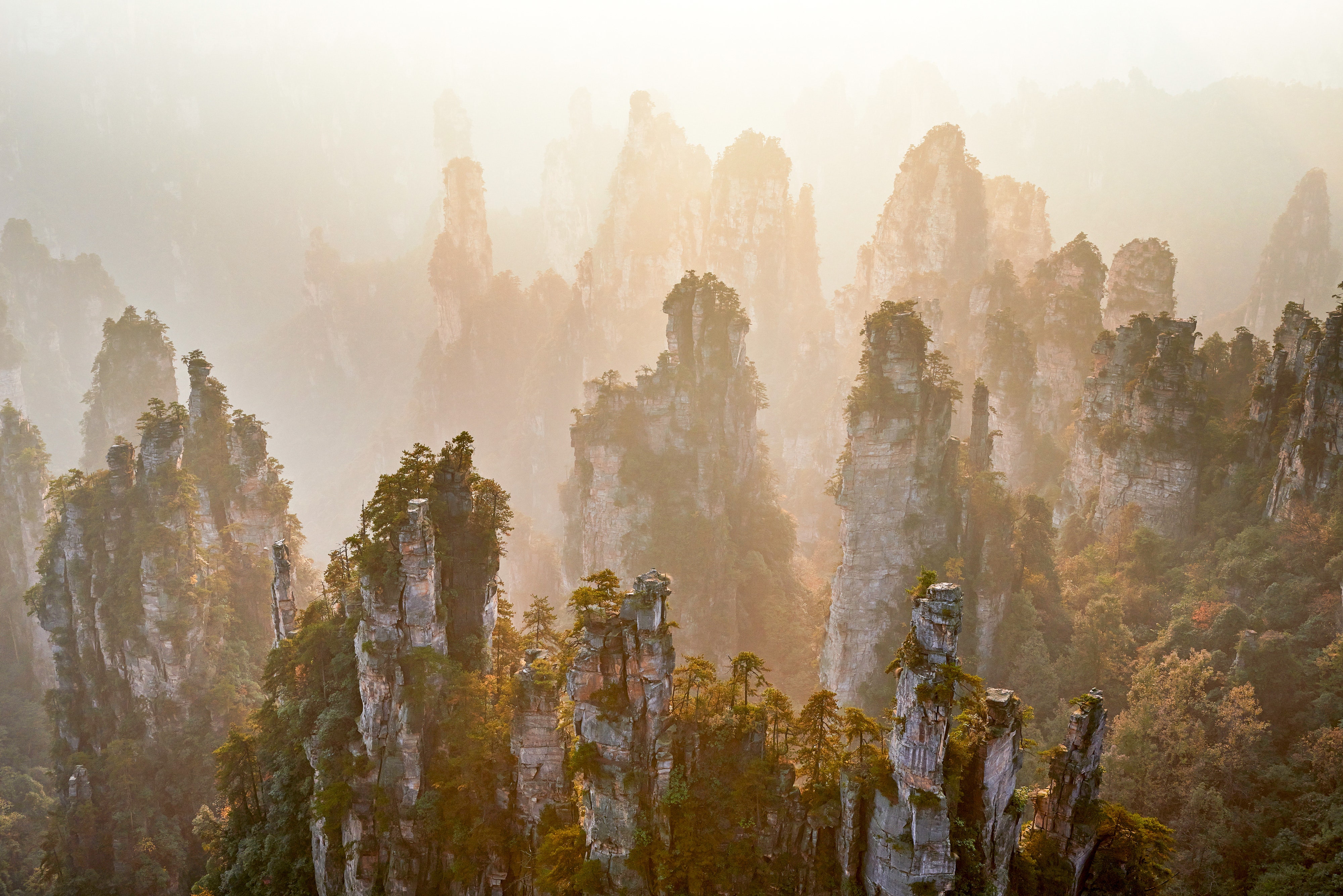 “Scenic” might be an understatement here: This 100-square-mile attraction in China’s Hunan Province contains thousands of sandstone pillars that are nature’s version of skyscrapers—some even stretch taller than the <a href="https://www.cntraveler.com/activities/new-york/empire-state-building?mbid=synd_msn_rss&utm_source=msn&utm_medium=syndication">Empire State Building’s</a> midpoint.<p>Sign up to receive the latest news, expert tips, and inspiration on all things travel</p><a href="https://www.cntraveler.com/newsletter/the-daily?sourceCode=msnsend">Inspire Me</a>