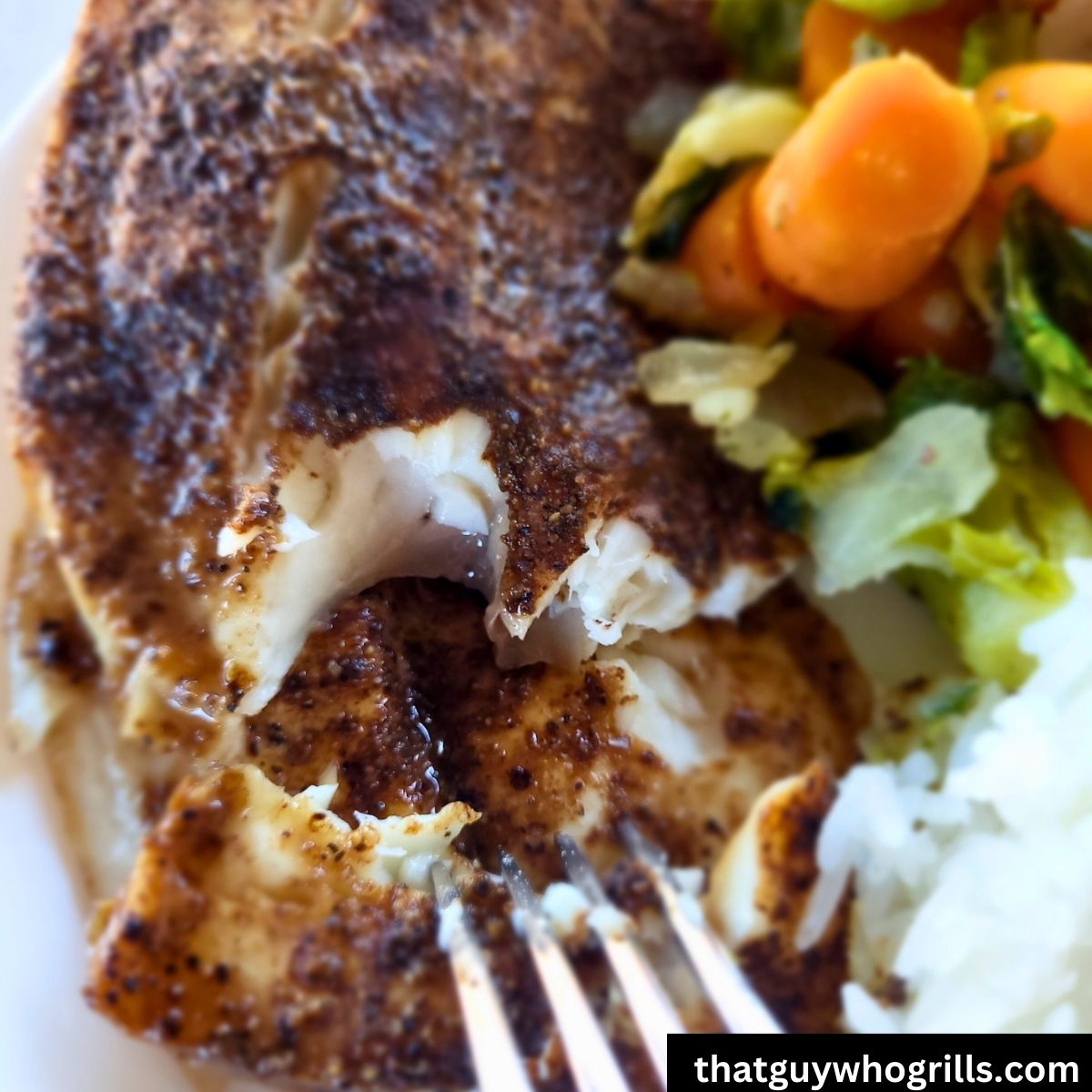 Grilled Tilapia In Foil!
