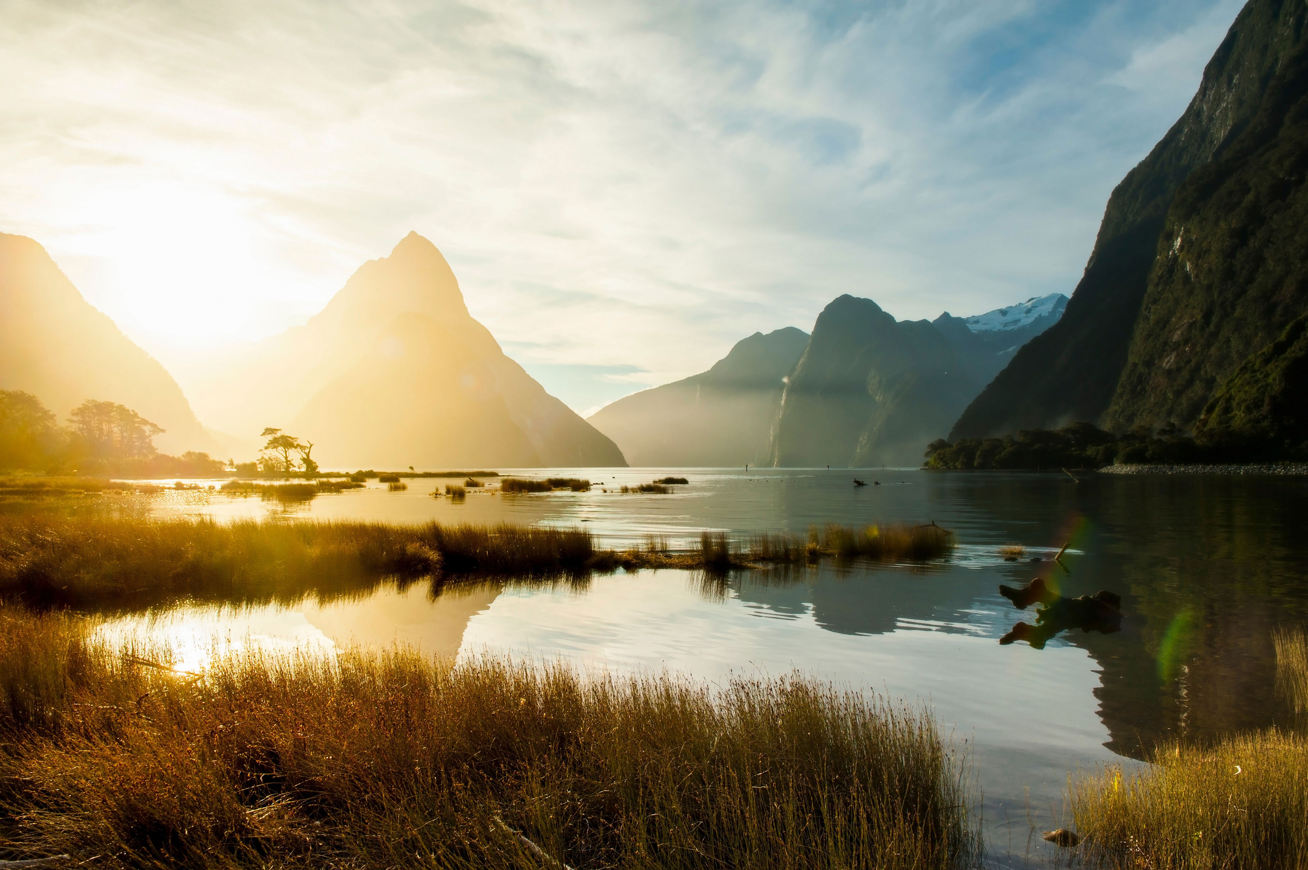 New Zealand is no stranger to breathtaking landscapes, particularly on the west coast of the South Island. Case in point: Milford Sound, a mountainous fjord where you can live out all of your <em>Lord of the Rings</em> fantasies.<p>Sign up to receive the latest news, expert tips, and inspiration on all things travel</p><a href="https://www.cntraveler.com/newsletter/the-daily?sourceCode=msnsend">Inspire Me</a>
