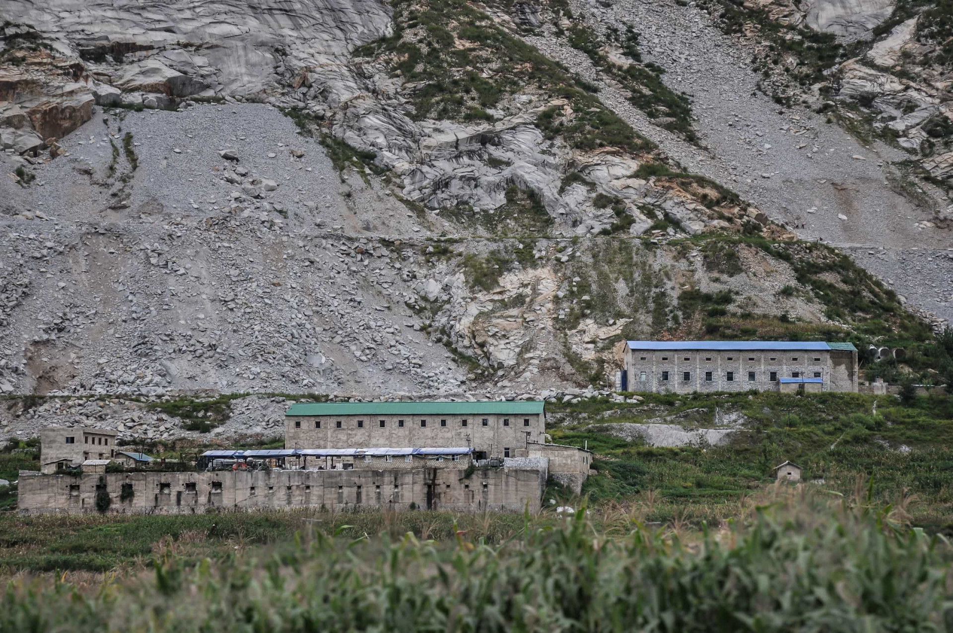 The 1 Best Frozen Mozzarella Sticks in 2023