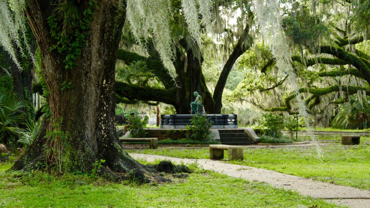 <p><a href="https://wintervagary.com/discover-the-magic-of-city-park-new-orleans-5-fun-activities-you-cant-miss/">City Park</a> is one of New Orleans’ crown jewels. This sprawling urban park—50% larger than New York’s Central Park—has lush gardens, serene walking trails, boating on the lake, bike rental, and one of the oldest tree groves with live oaks. There’s also the serenity of the Singing Tree, which many people love to sit or lay beneath and listen to the magical wind chimes. The iconic Cafe Du Monde and other eateries are in the park, along with the New Orleans Art Museum, the Botanical Gardens, and the Louisiana Children’s Museum. While some of these attractions within the park may have entrance fees, exploring the park itself is free.</p>