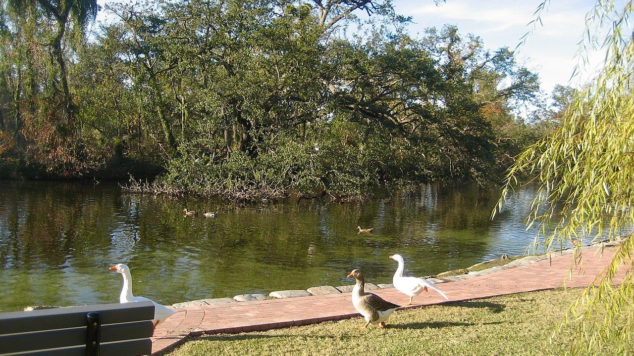 <p>Audubon Park has been a cherished destination for over a century in historic uptown New Orleans. It offers a tranquil 1.8-mile jogging path, a picturesque lagoon, picnic spots, and play areas beneath ancient live oak trees. The park is open to the public and features amenities like tennis courts, riding stables, soccer fields, a pool, the Audubon Clubhouse Café, and the Audubon Golf Club, making it a versatile urban oasis for an impromptu picnic.</p>