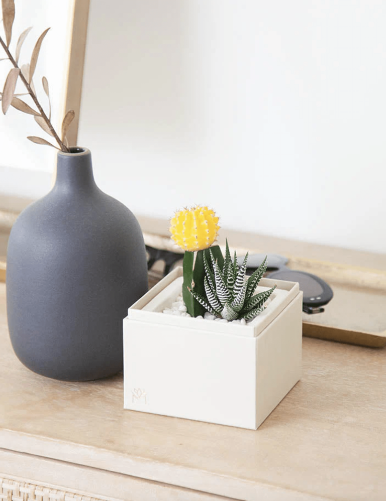 Calling all educators! Score discounts for Teacher Appreciation Week at