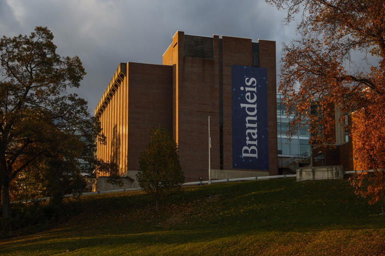 Brandeis University said this week that it will extend the deadline for transfer applications to the end of May.